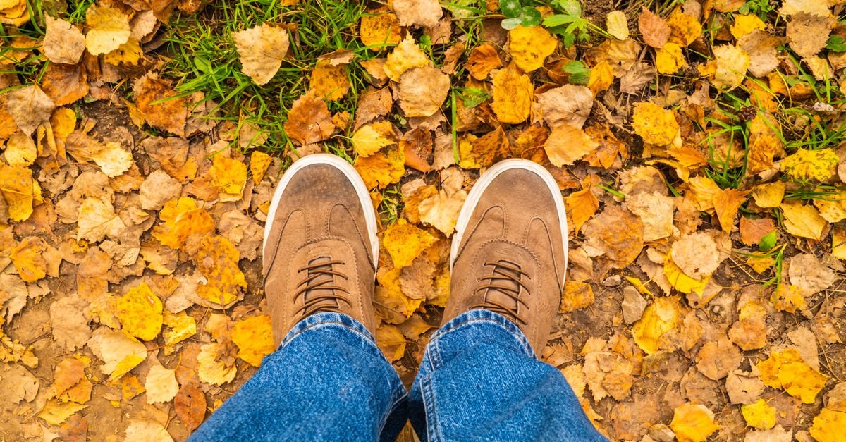 Brown shoes and blue jeans stand on a path covered with vibrant yellow and brown autumn leaves.