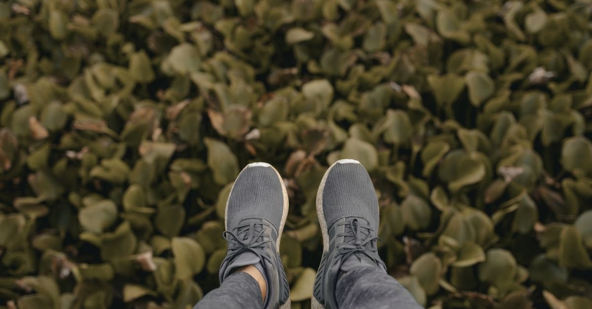 Point of view shot of feet in sneakers dangling above vibrant green foliage.